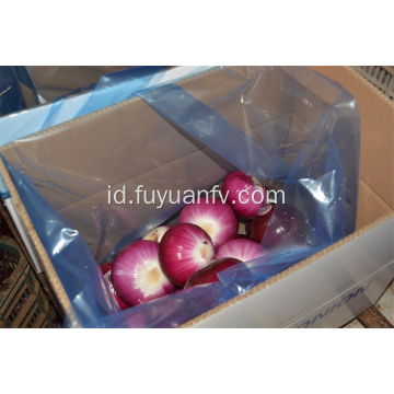 Hotsale Red Peeled Onion dengan kualitas bagus